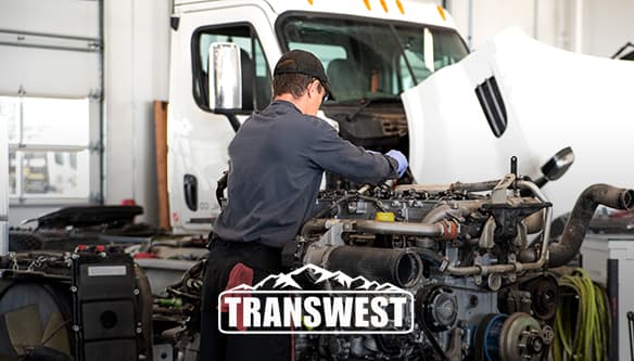 Mechanic working on truck.