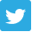 twitter icon
