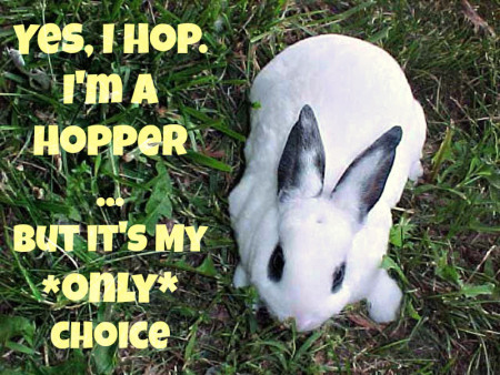 job-hopper