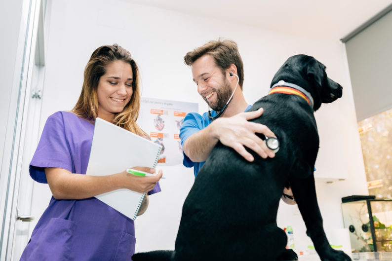 Veterinary Technician Job Description Template Ziprecruiter