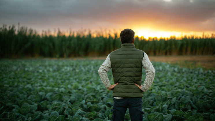 Three Takeaways From the January JOLTS Report