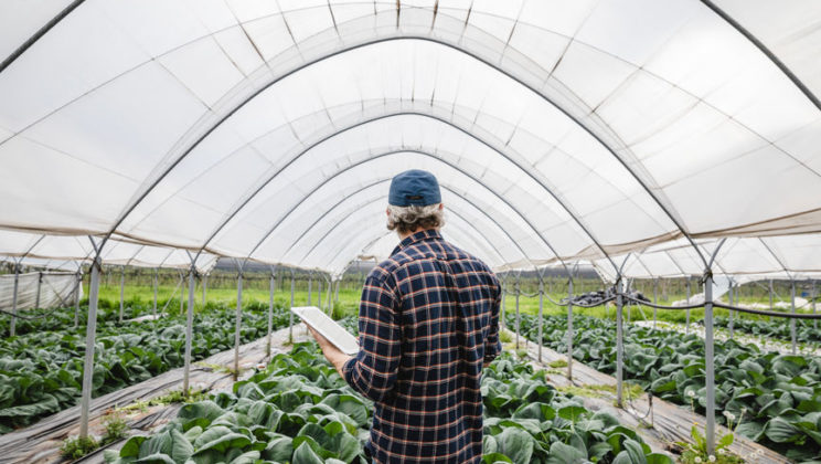 Industry Spotlight: Agricultural Employment in a Time of Tariffs and Unfavorable Commodity Prices
