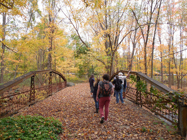 16411419737_7a83643702_z