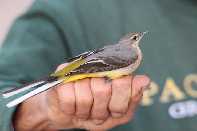 10672296745_faa19a7286_z