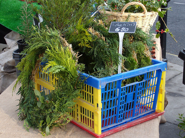 4204142178_ec95861c04_z