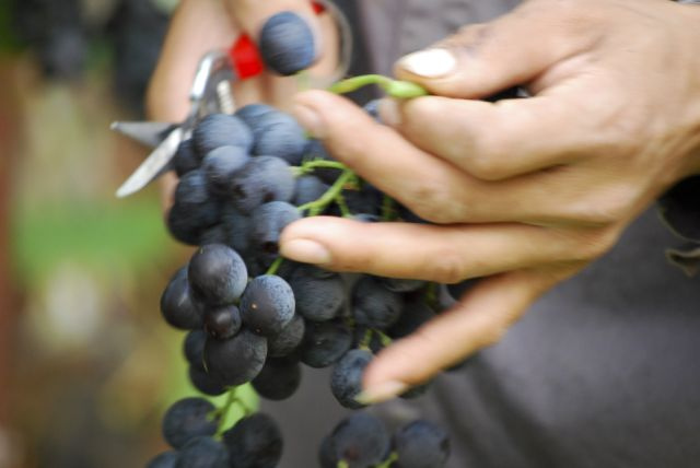 8157499583_4a328b8945_z