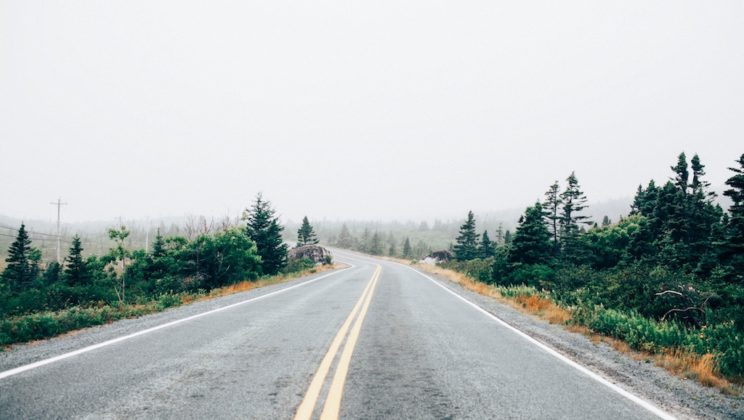 The Road Not Taken: Career Edition