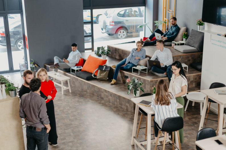 A thriving job market in 2019