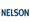 Nelson Staffing's logo