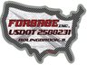 Forsage Inc.