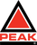 PEAK Technical Staffing USA's Logo