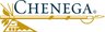 Chenega Enterprise Systems & Solutions, LLC
