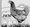 JWM Poultry Solutions LLC