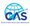 Certified Aviation Services