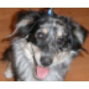 Salary: Federal District Court Judge (Oct 2025) US