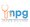 The Nurse Practitioner Group, LLC