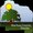 Alachua County Board of County Commissioners