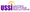 United Staffing Solutions, Inc.