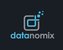 Datanomix's Logo