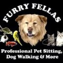 Furry Fellas Pet Service LLC