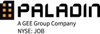 Paladin Consulting Inc's Logo