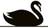 Black Swan Insurance Group