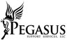 Pegasus Support Services LLC