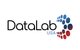 DataLab USA's Logo