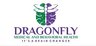 Dragonfly Medical and Behavioral Health