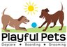 Playful Pets
