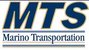 MTS's Logo