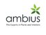 Ambuis's Logo