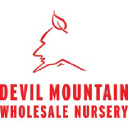 Devil Mountain Wholesale Nursery LLC