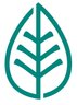 Fresca Foods