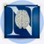 Northeast Neuropsychology & Behavioral Health Partners's Logo