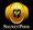 BLUE SIGNET HOLDINGS LLC