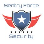 Sentry Force Security