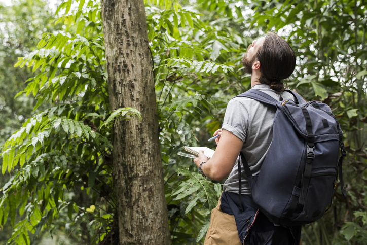 Entry Level Wildlife Biologist: What Is It? and How to Become One
