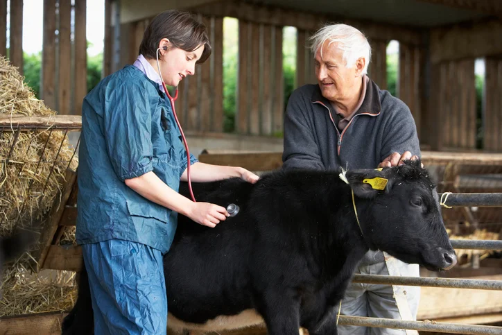 Traveling Veterinarian