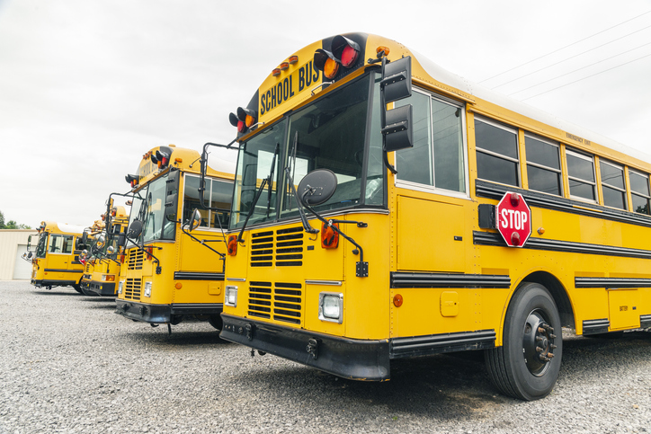 A row of busses, one of the specialty vehicles 