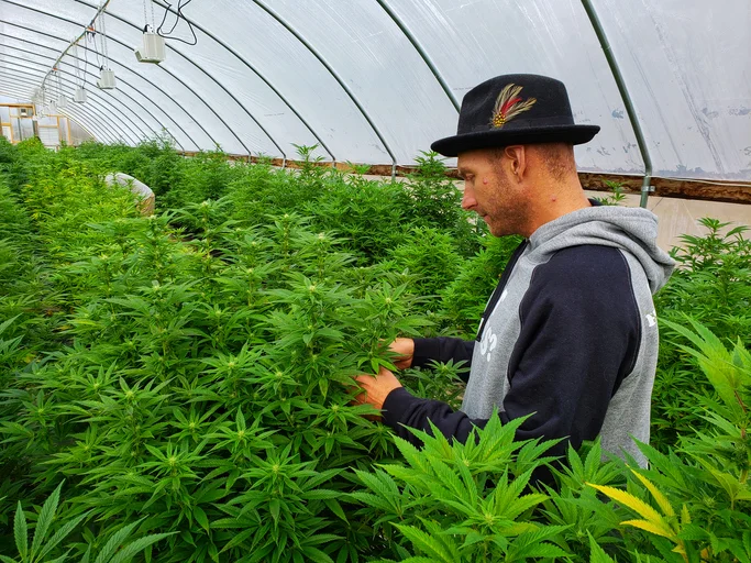 Hemp Jobs What Are They and How to Get One
