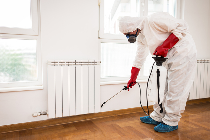 Pest Control Technician: What Is It? and How to Become One?