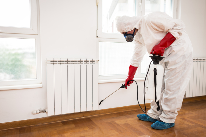 Pest control work: Requirements, salary and courses