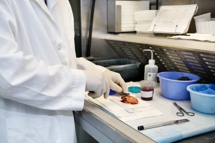 Histotechnologist
