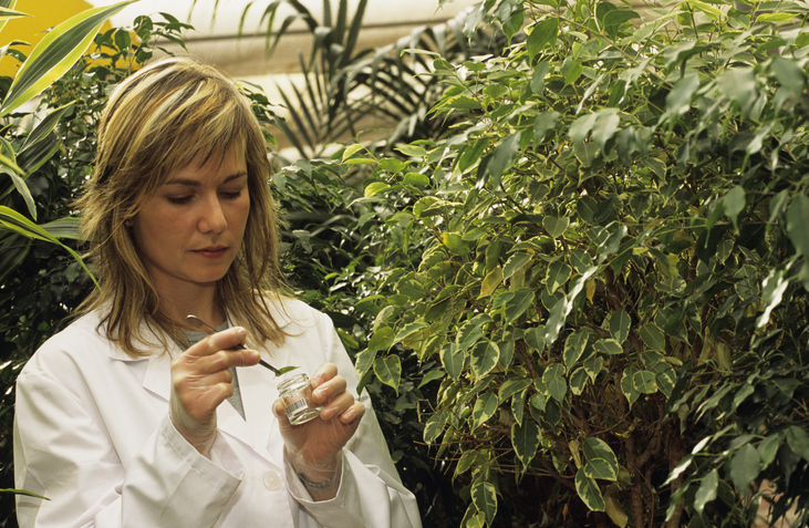 Botanist What Is It And How To Become One