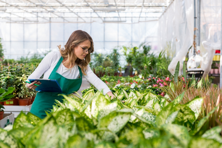 How To Become A Cannabis Master Grower | Hempstaff