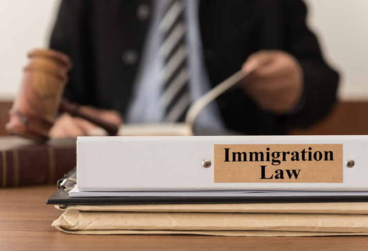 Immigration Lawyer