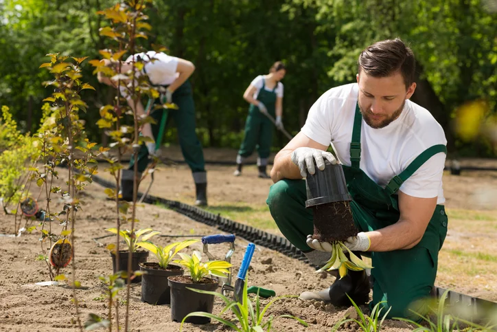 Gardener What Is It And How To Become