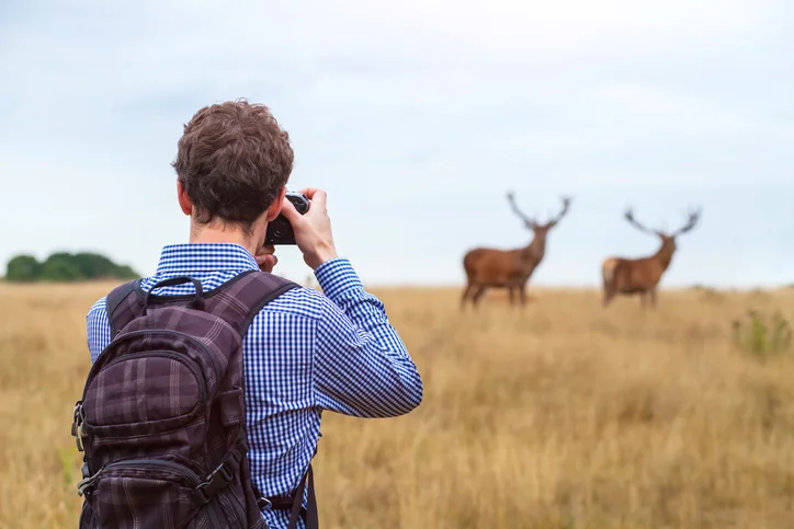 Wildlife Photographer: Career Profile & Salary