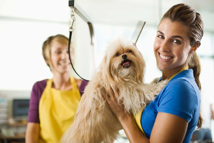 Closest discount dog groomer